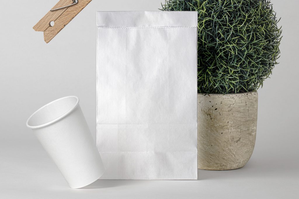 Paper Bag Free Blank